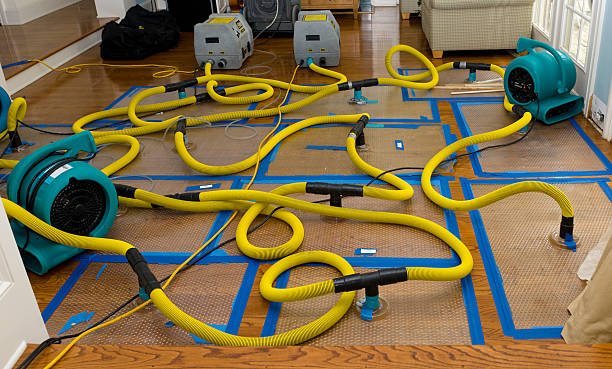 Professional Structural Drying And Dehumidification technician working in Fennville, MI